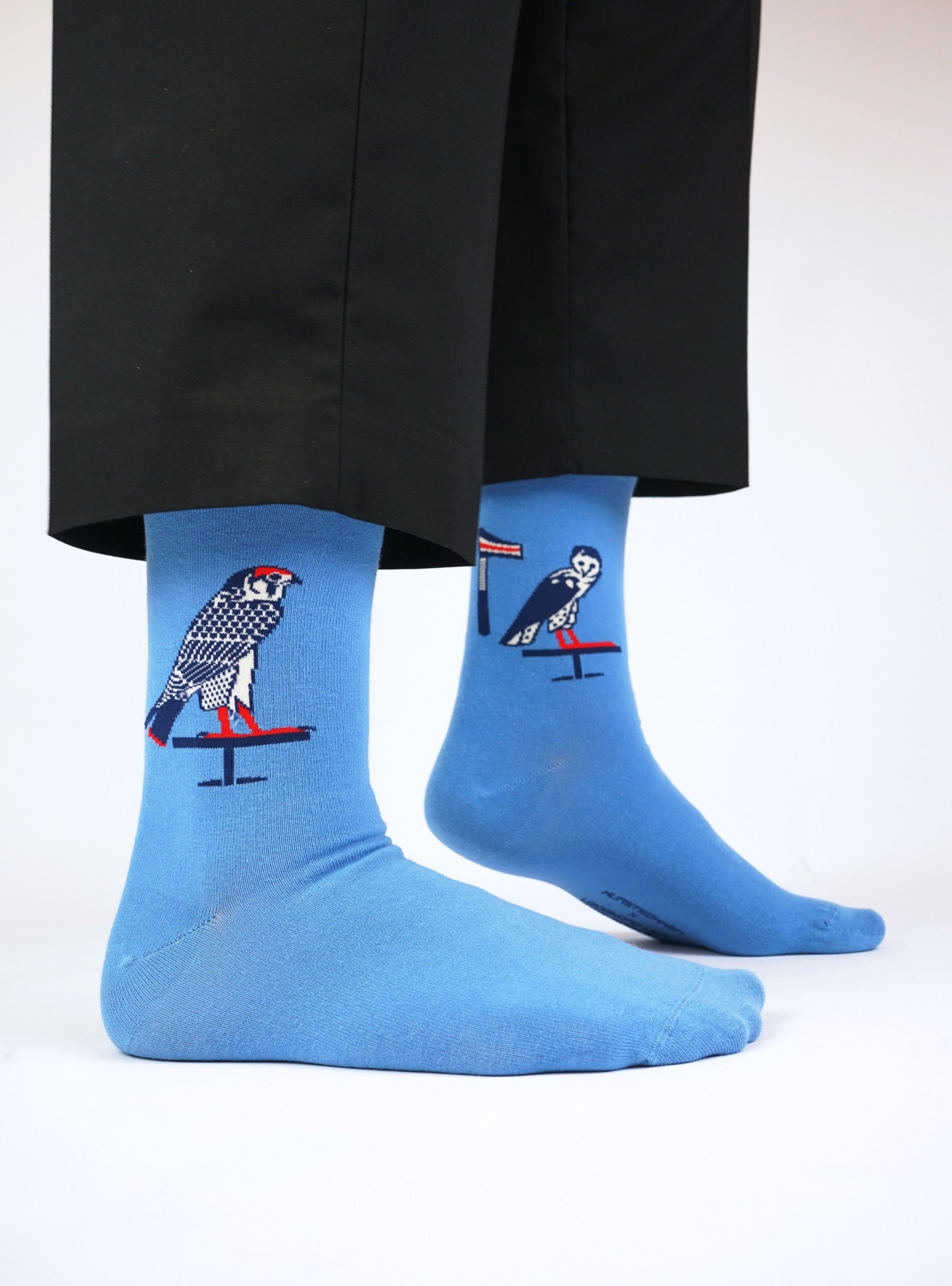 Egyptische Vögel - Sarkophag von Peftjaoeneith