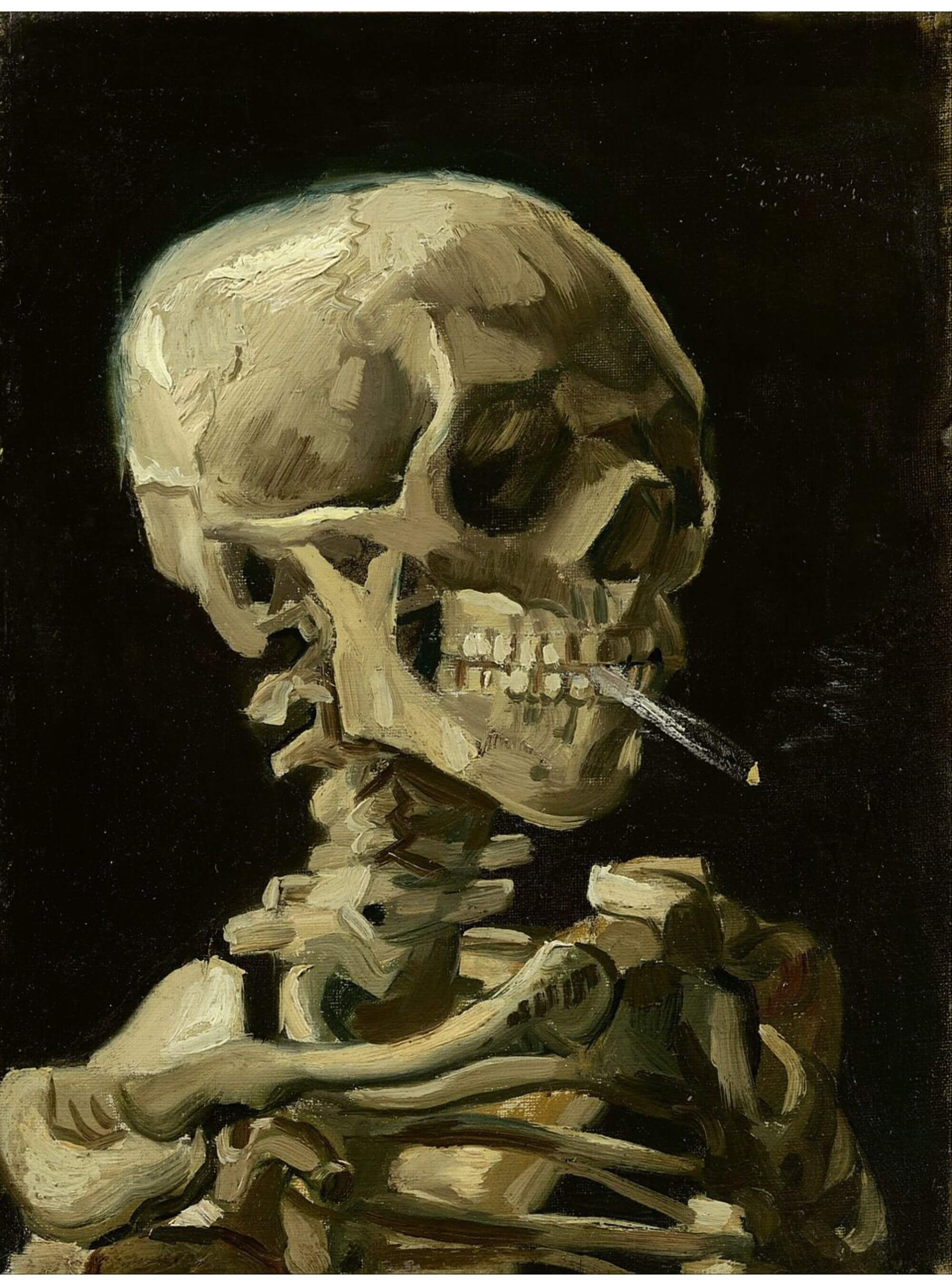 Skull of a Skeleton with a Burning Cigarette