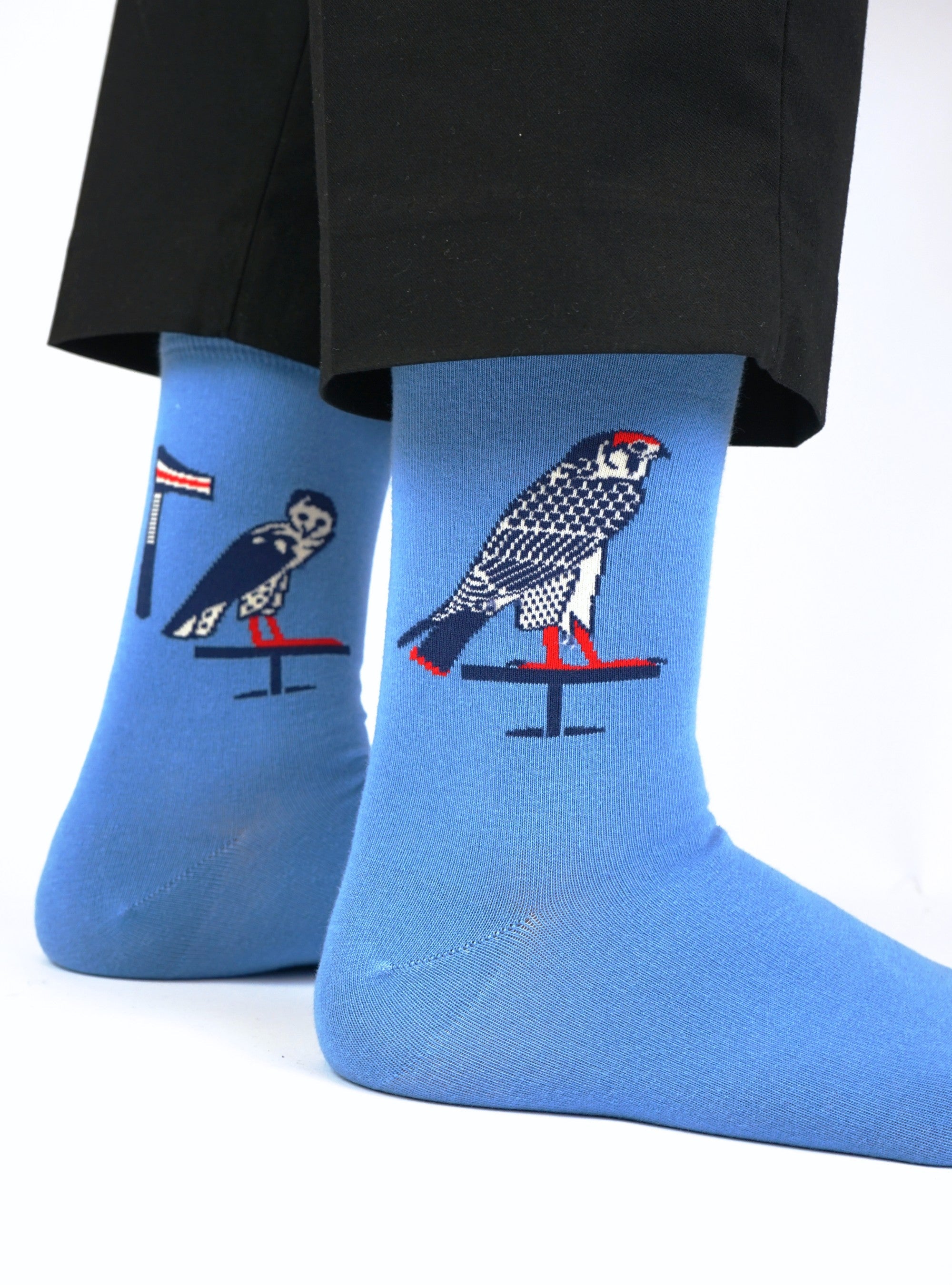 Egyptische Vögel - Sarkophag von Peftjaoeneith