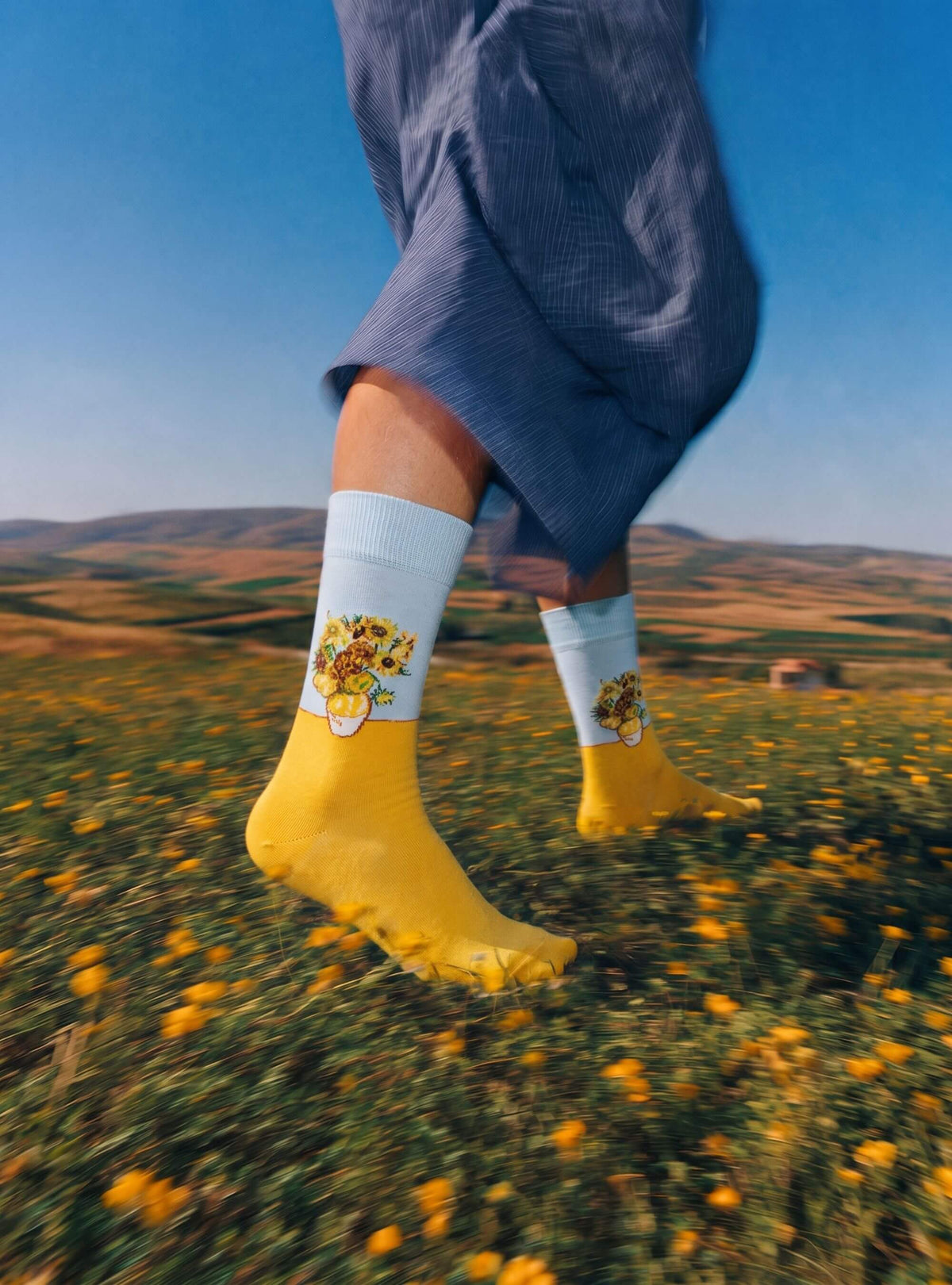 Sonnenblumen