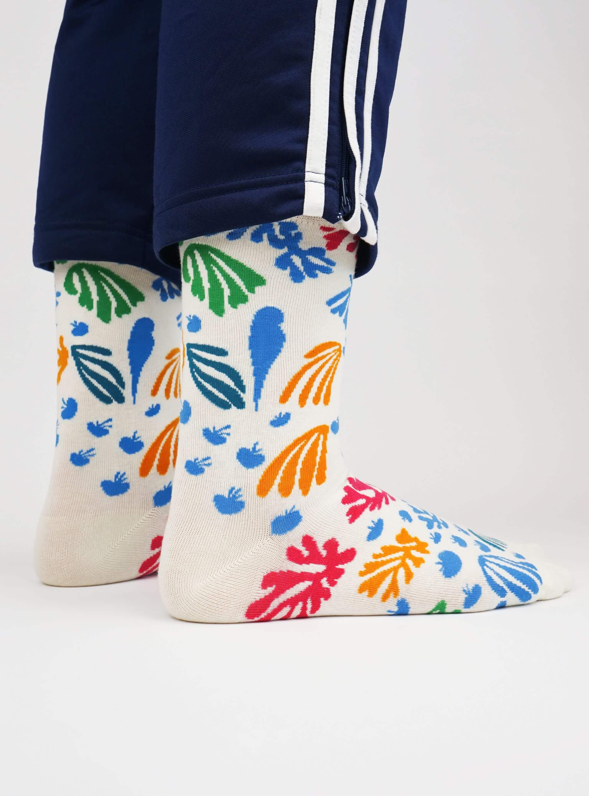 Der Wellensittich und die Meerjungfrau