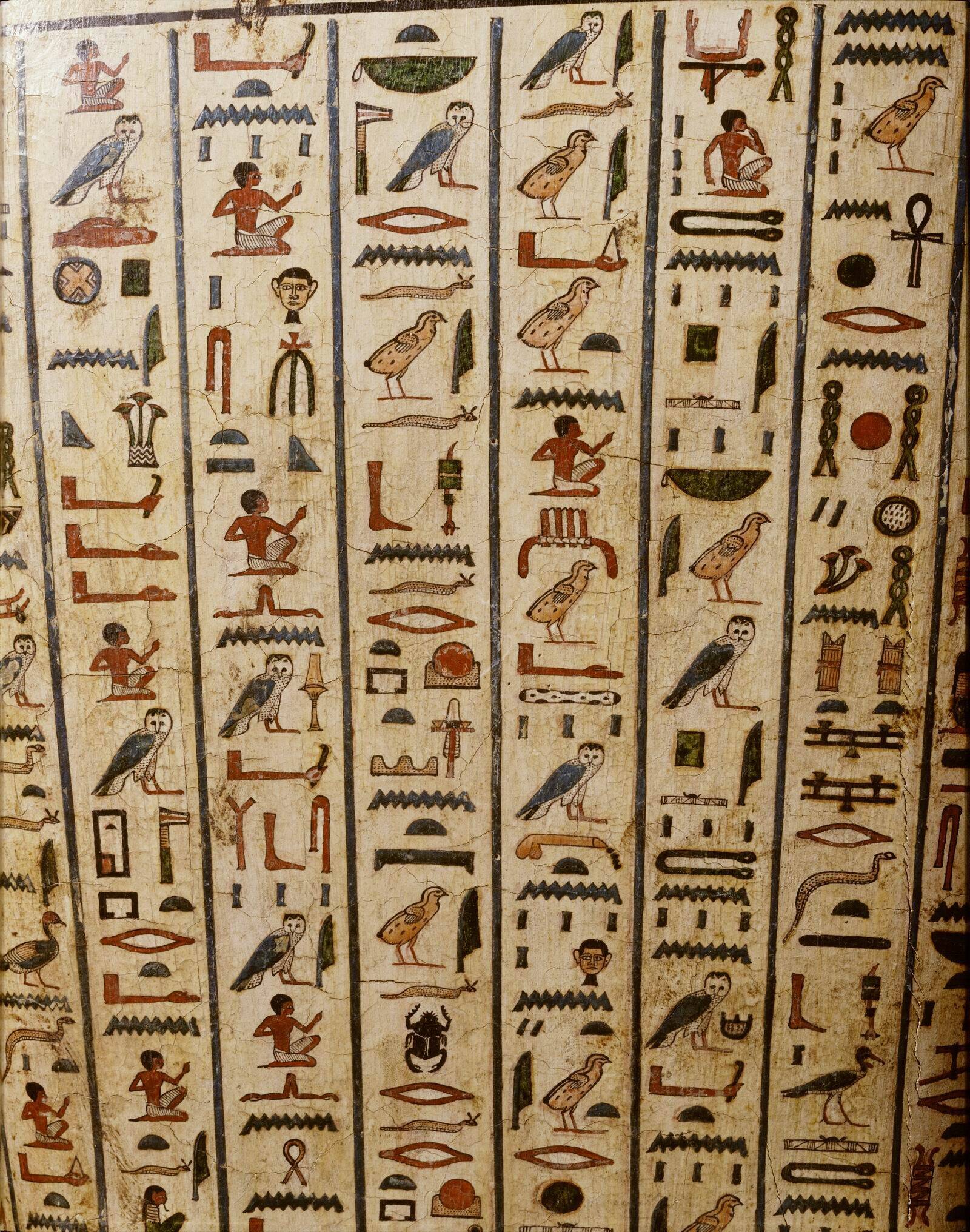 Oiseaux égyptiens - Sarcophage de Peftjaoeneith