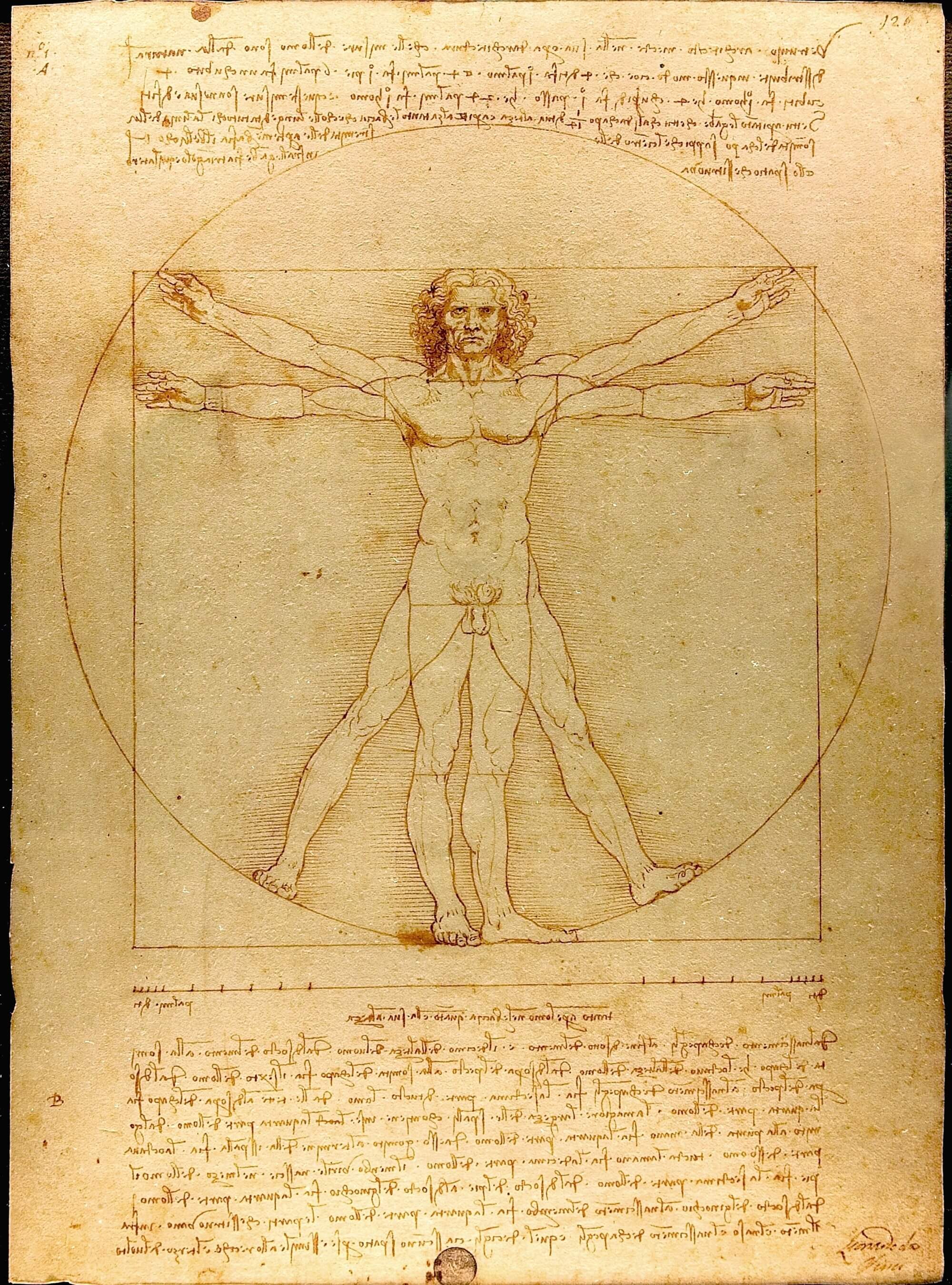 Vitruvian Man